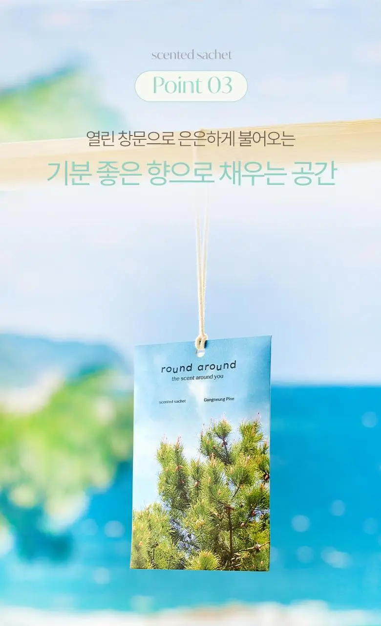 [강릉한정판매]라운드어라운드 센티드 샤쉐 2종 [소나무,커피] 상세페이지 8
